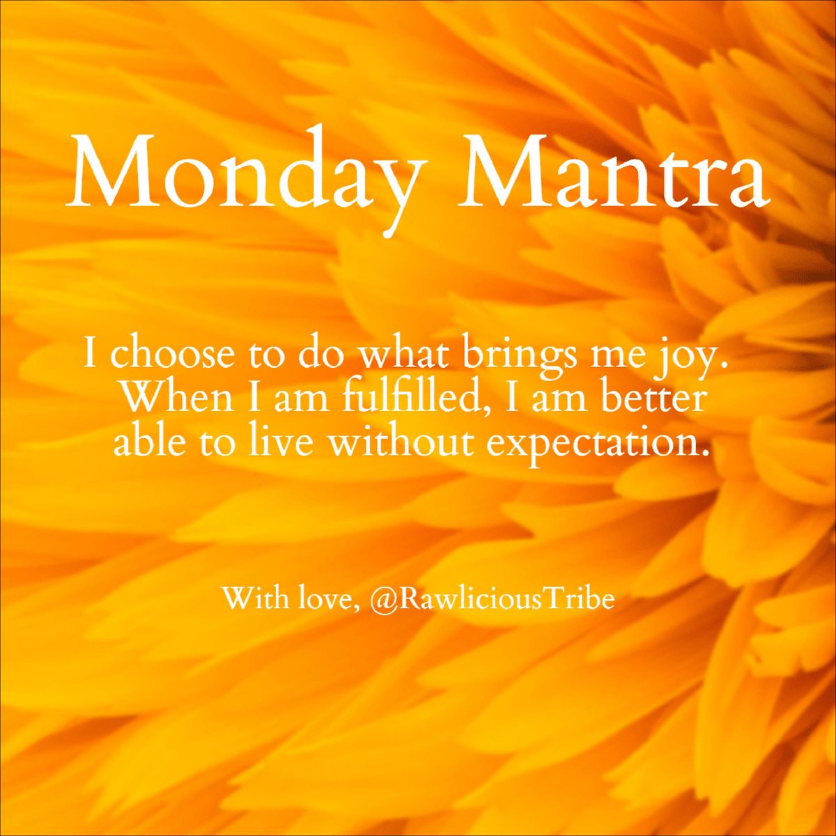 RawliciousTribe's tweet photo. I am joyfully fulfilled! ☀️🌟🌻

#MondayMantra #Superfoods #plantstrong https://t.co/AOV1DpirW2
