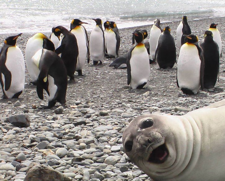 Worldpics (@worldpics69) on Twitter photo 