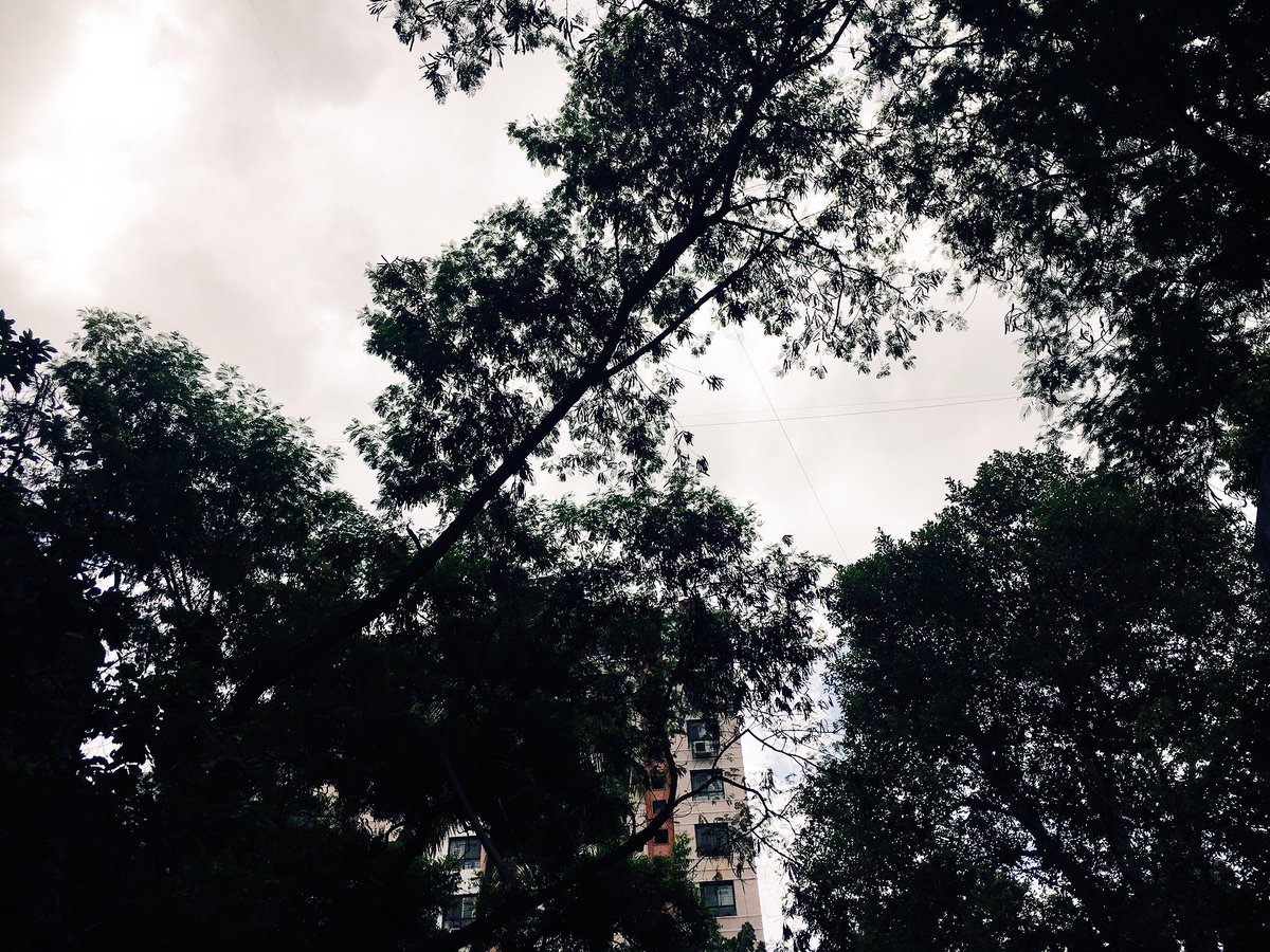 swnjalali's tweet photo. What's up everyone? #happymondayguys #beautifulmorning #monsoonsarecoming #chalolongdrivepe https://t.co/AZWLL2jypK