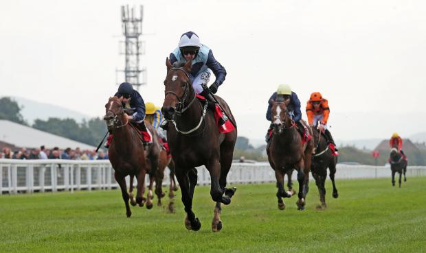 Steady Eddy's Each Way Earner Monday 29 May is: Banditry in the 3.35 at Recar bit.ly/2aQqUYX