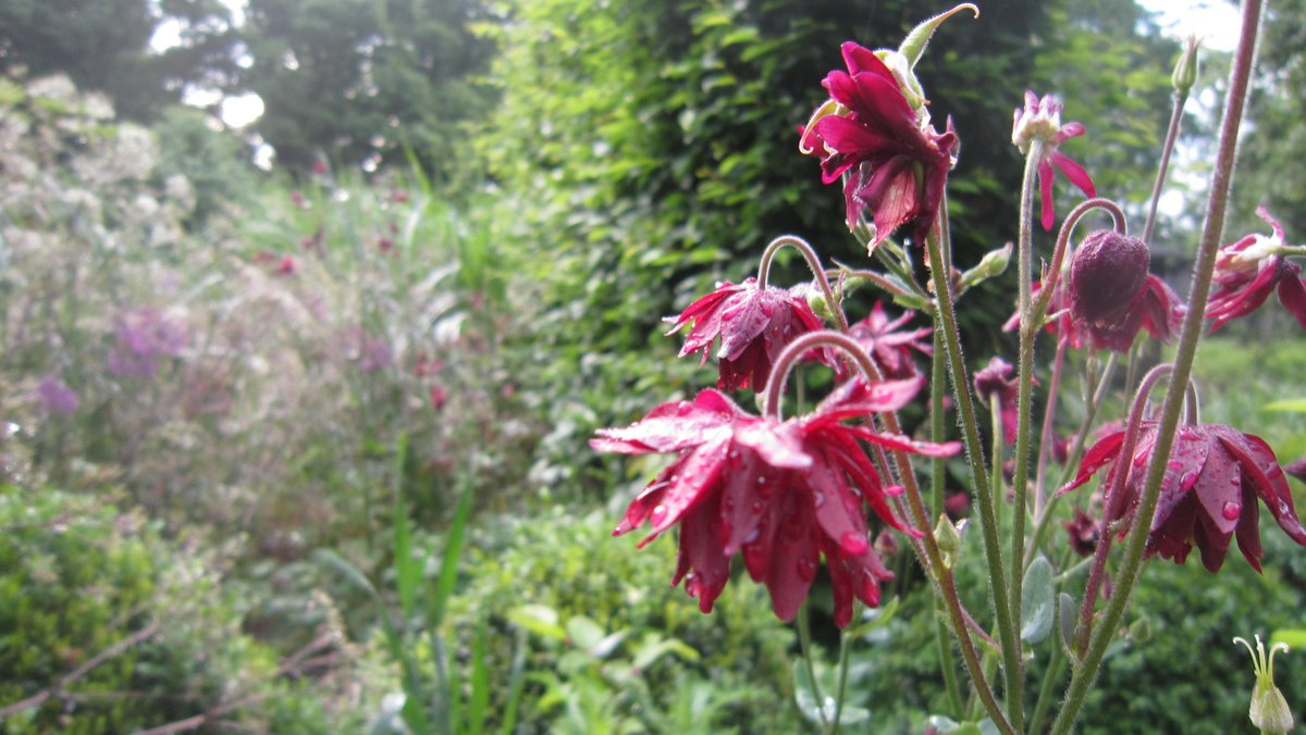 SUSSEXPRAIRIES's tweet image. now that's what I call Prairie @SUSSEXPRAIRIES #countdowntoopening #daystogo