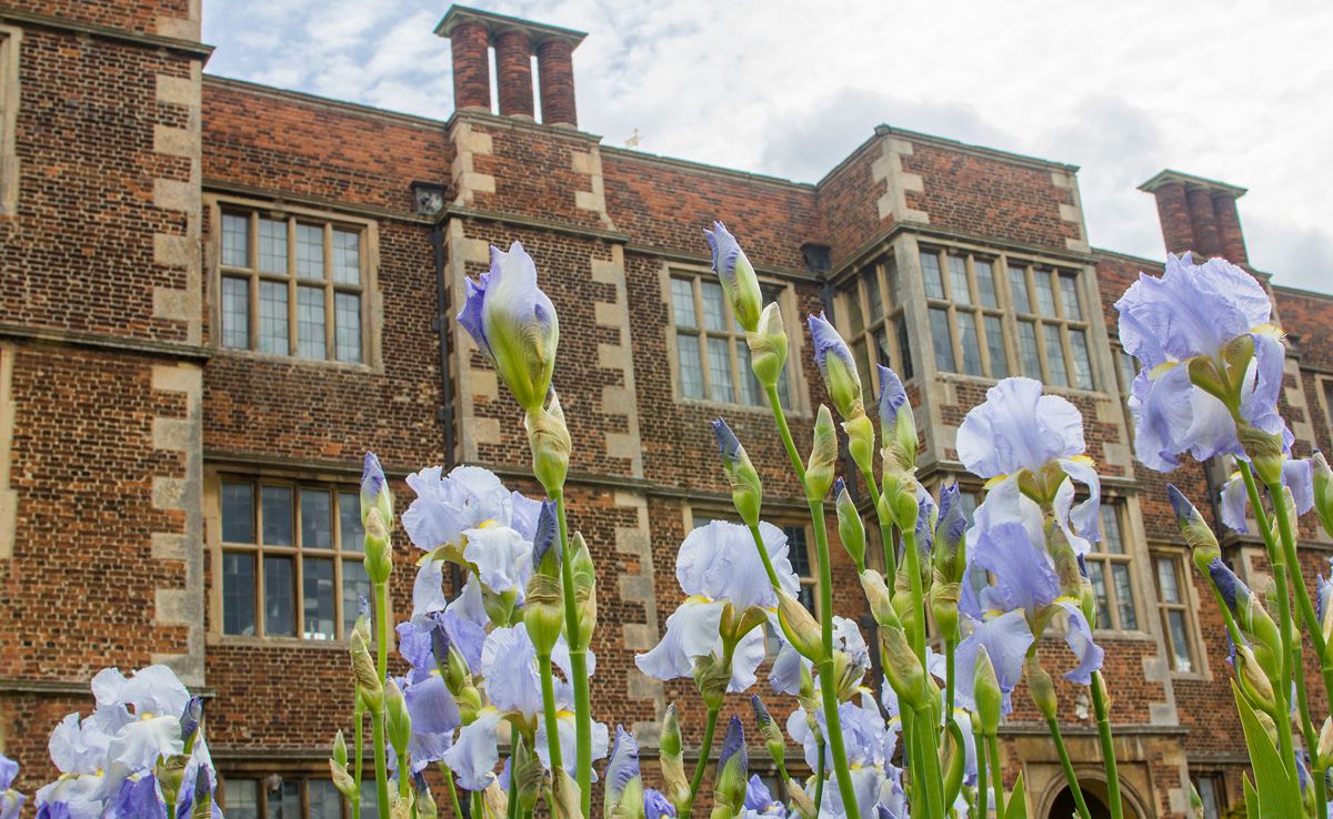 visitlincoln's tweet photo. This week enjoy #IrisWeek at @doddingtonhall, al fresco theatre at @LincolnCastle, Lincoln Artists' Market, &more.
https://t.co/Xg3N9OKL4x https://t.co/hp1wMSe7Xs