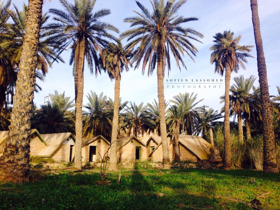 22+ Tunisie côté mer - Oasis de Chenini, Gabès (photo Sofien Lassoued