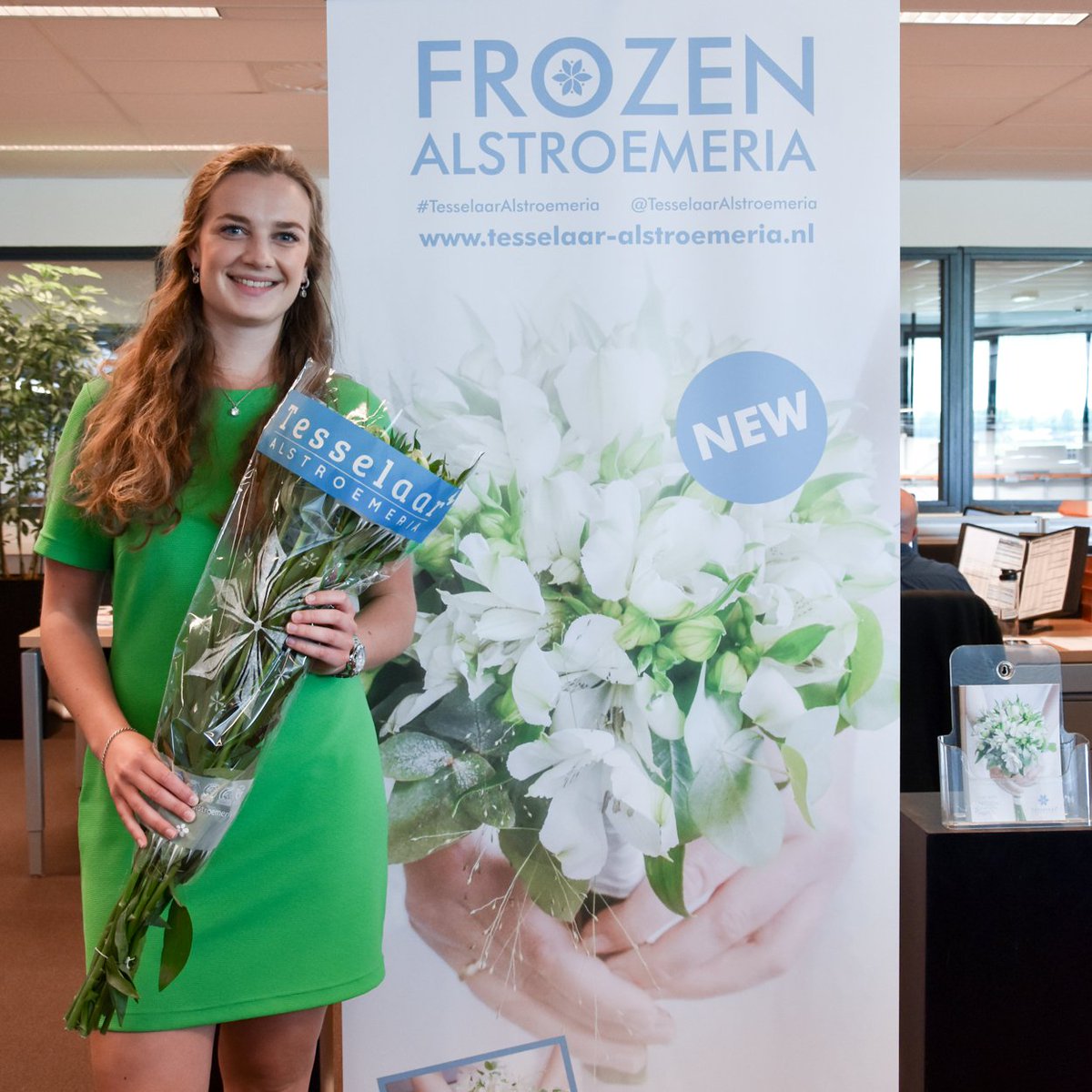 Introduction of the new #AlstroemeriaFrozen by <a href="/RickTesselaar/">Tesselaar Alstro</a> at #OZExport #ToFlowerTheWorld.  More info: goo.gl/LUYjX8