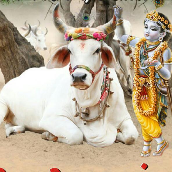 dksuthar39's tweet photo. https://t.co/JxmABB2xNQ