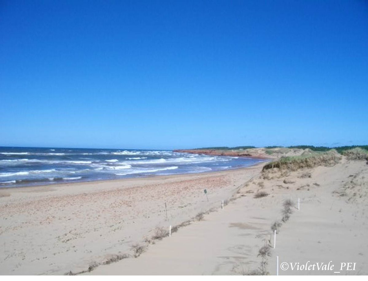 VioletVale_PEI's tweet photo. #Cavendish 散歩続き
#CavendishBeach
晴れてきた!やや白い砂浜。
#PEI #PrinceEdowardIsland #赤毛のアン https://t.co/aiX4hOiz2y