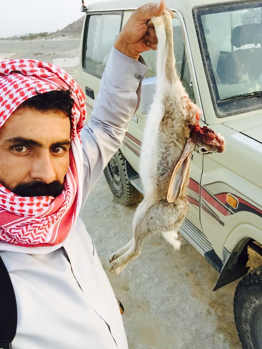 vib50501's tweet photo. مقناص البارح https://t.co/FBnXHu22Hu