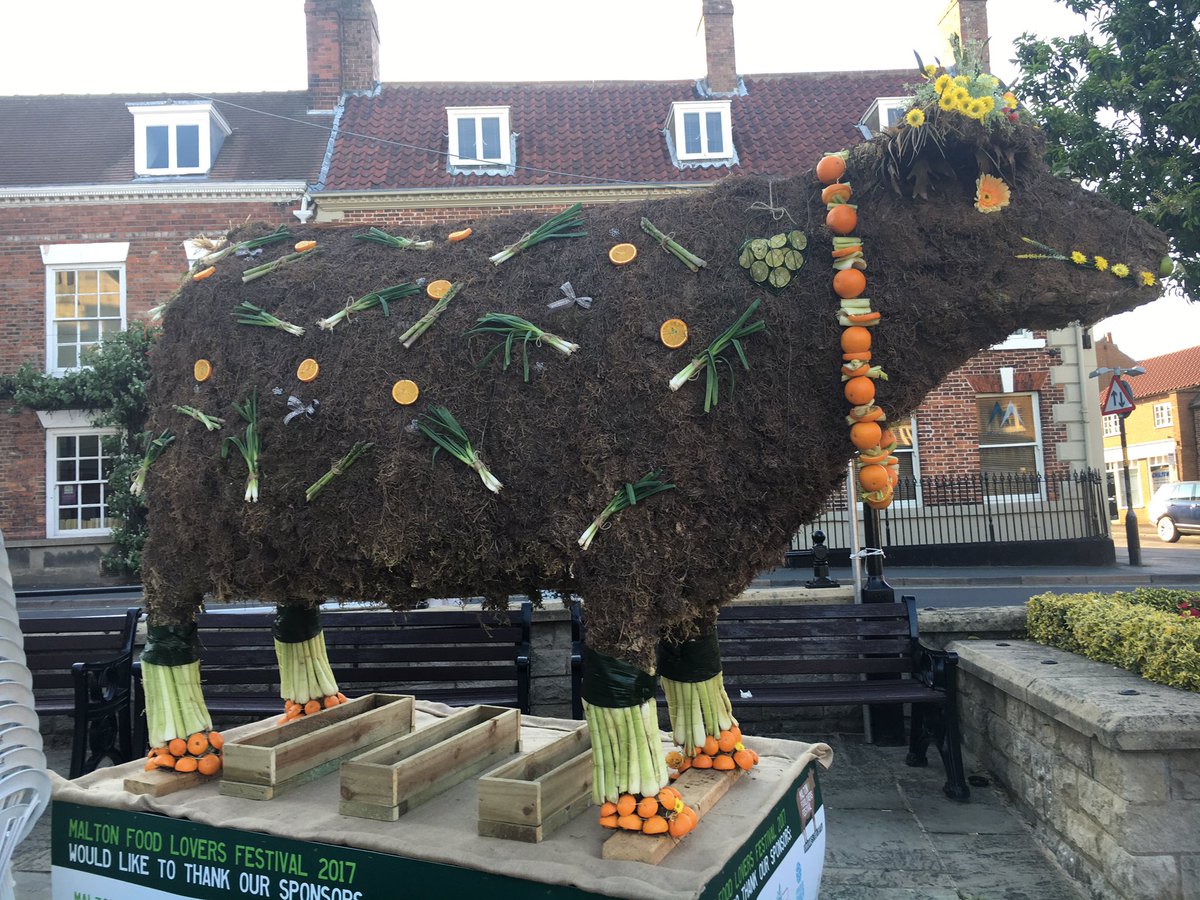 topiarytree's tweet photo. Here is our Food Festival Cow for 2017. Selfies #maltonfoodfest #thetopiarytree #paleys #malton https://t.co/I6dSPCRDDj