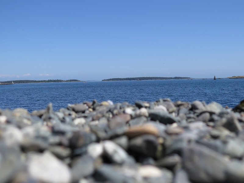 OBMG's tweet photo. beautiful day to sit on the beach and take in the view #everyonebelongsinnature @OBMG #thefantasticos #marinemachine @PowerToBe @TELUS https://t.co/aIED2EJBYh