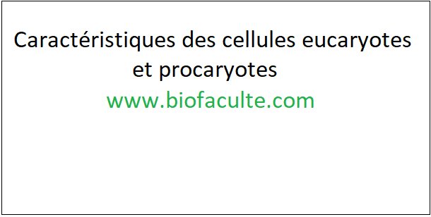 Biofaculte's tweet image. Caractéristiques des cellules eucaryotes et procaryotes