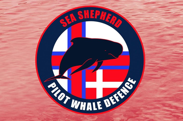 SeaShepherdAT's tweet photo. Analyse der rechtlichen Bedeutung nach dem ersten Grindadráp https://t.co/CVmmSoYnxW #OpBloodyFjords #OpGrindini #OpGrindStop https://t.co/PH5dYyZY7S