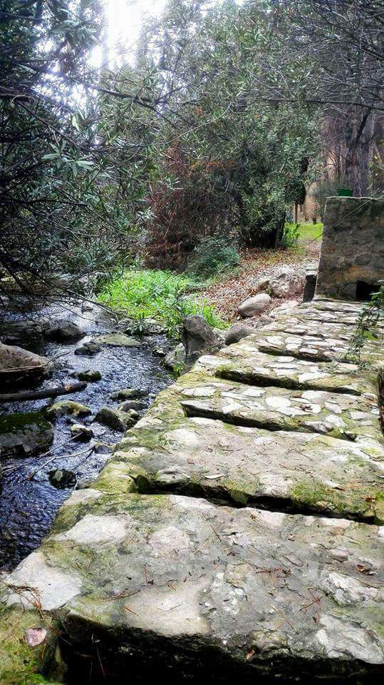 ¿Y si comenzamos el día con un buen desayuno y un bonito paseo por la #naturaleza? #Bedmar #SierraMagina

Fotos: Albergue Rural de Cuadros