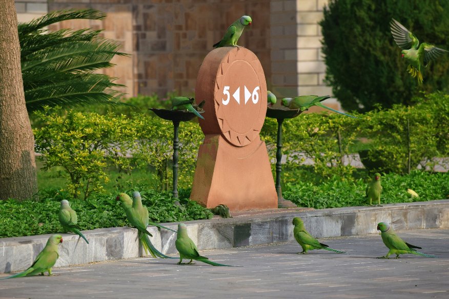 Brij_Vasundhara's tweet photo. How about spending a weekend among birds at a resort near Delhi?
#ResortMathura #WeekendGetaway #WeekendDestination #LuxuryResortNCR https://t.co/IFDo5nQDvJ