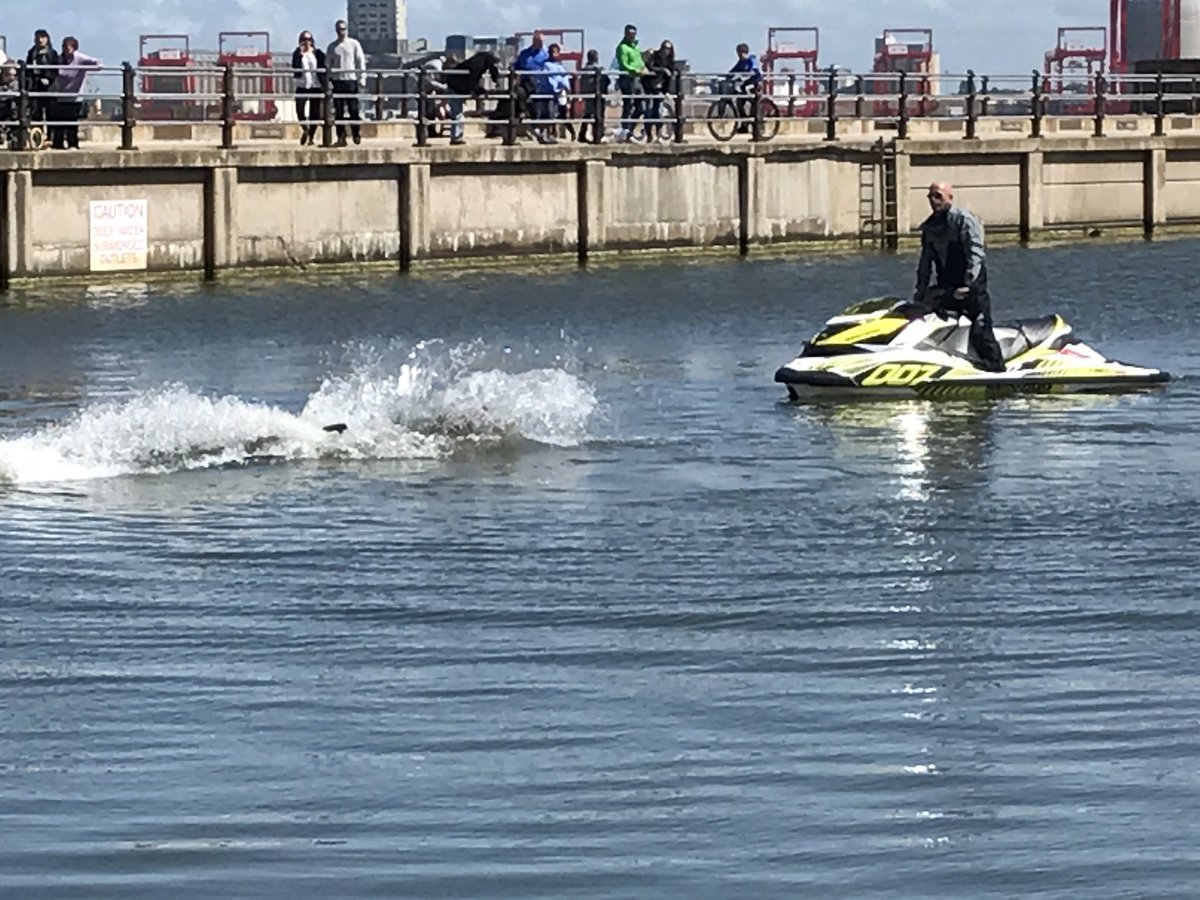 FLYBOARDFUN's tweet photo. New Brighton festival is here, FlyboardFun are on Marine Lake New Brighton, come down join in the fun, it's all about joining in! https://t.co/bRm9qyLlNf