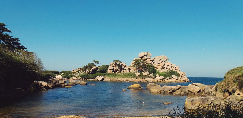 MarvailhApp's tweet photo. Retour aux sources (d'inspiration) 🦀🐡🐚 #bzh #ploumanach #perrosguirec https://t.co/e5sgkV9EK0