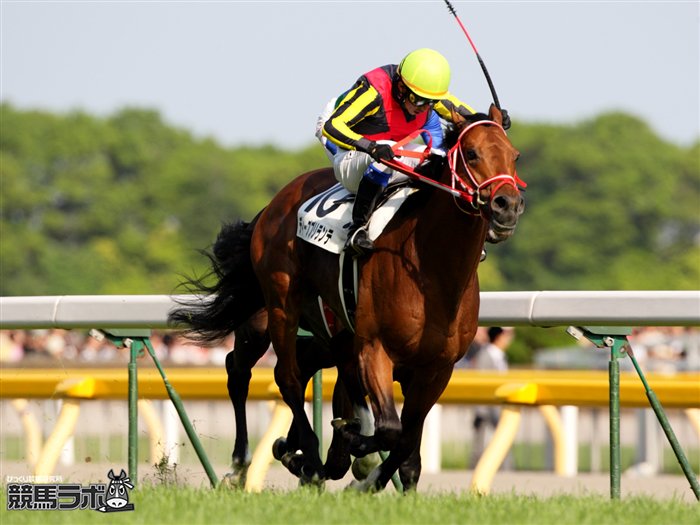 競馬ラボ V Twitter 日本ダービー 12年ディープブリランテ Deep Brillante T Co Lsuzq1ecis 競馬 Keiba 東京優駿