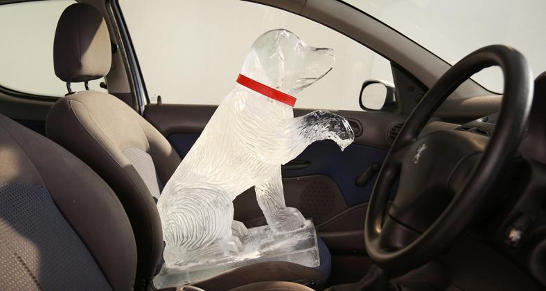 It's another scorcher! Remember #hotcarskilldogs so never leave your dog in a car, it could be fatal within minutes dogstrust.org.uk/news-events/is…