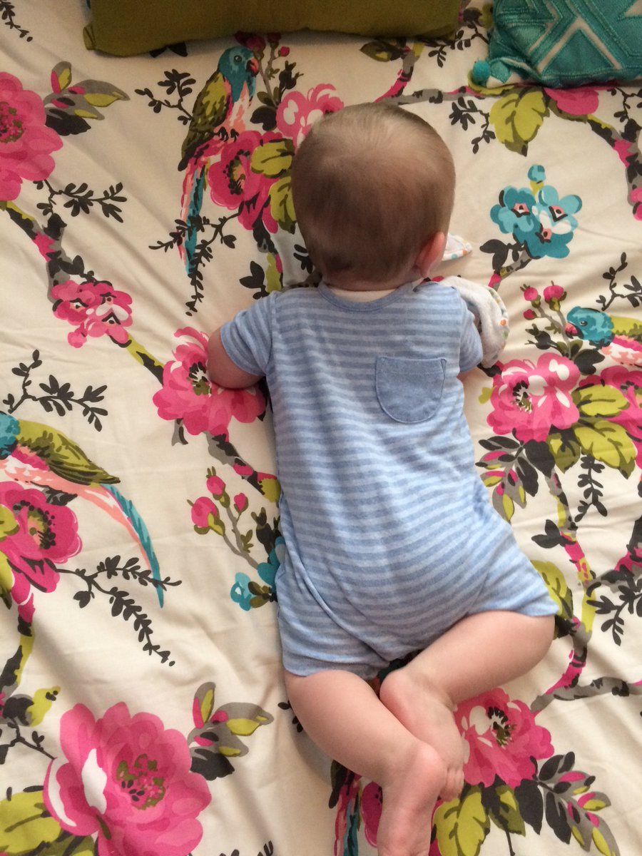 SarahEverett36's tweet photo. When Dads get the kids dressed #nowordsneeded https://t.co/xib8Hhjdtp