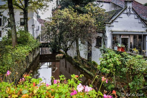 PicStreetFR's tweet photo. Gouda, Netherlands (By Ad de Cort) / https://t.co/gT6WqKib6l #travel #voyage #photography #tourism https://t.co/zVXaHXssG7