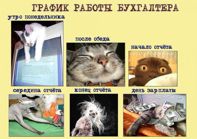 ������� �������� �������, �������� �������� ���������