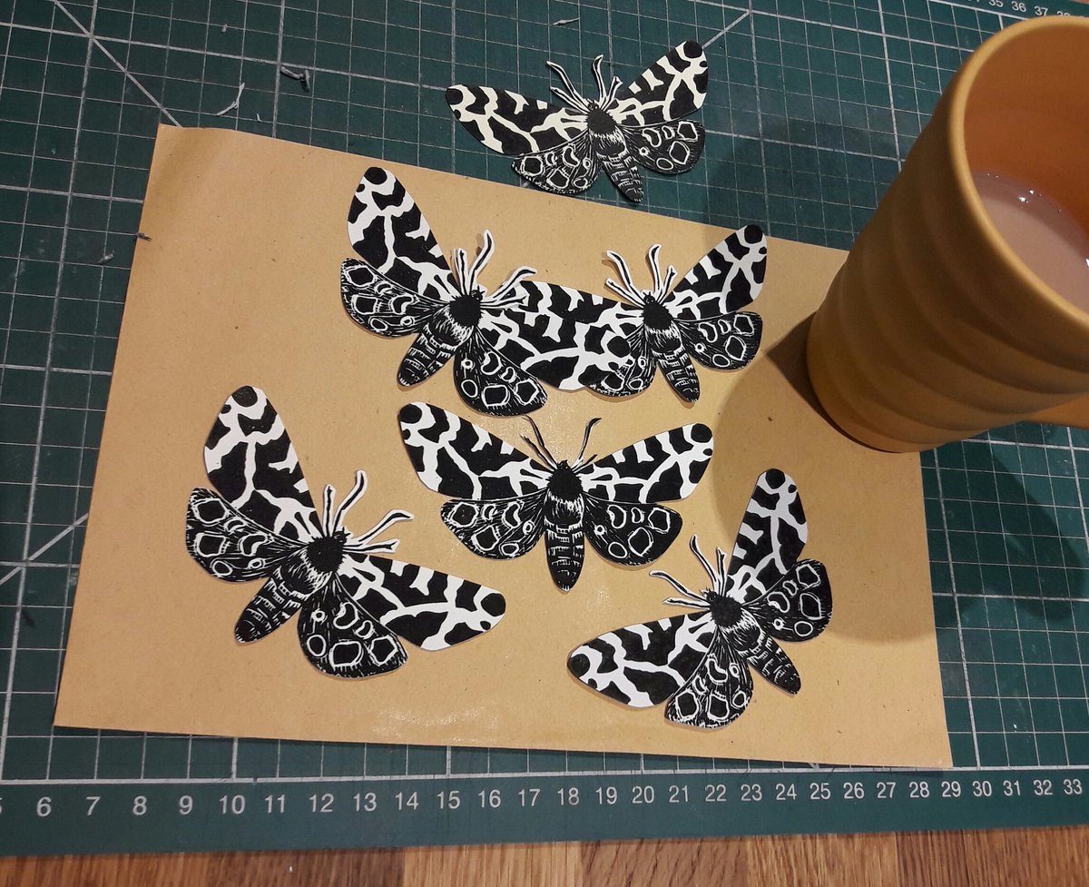 onthehuhcrafts's tweet photo. #MothMigrationProject garden tiger moths about to fly to the US! Amazing project! #30DaysWild @BroadsNP @ButterlyConservation https://t.co/CpDTXGHPcj