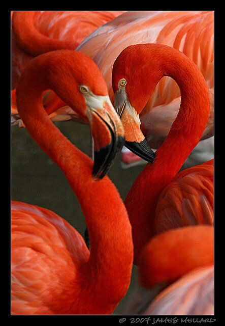 BSangameswaran's tweet photo. Enjoy Week end Friends https://t.co/M1DZG3i8EQ
