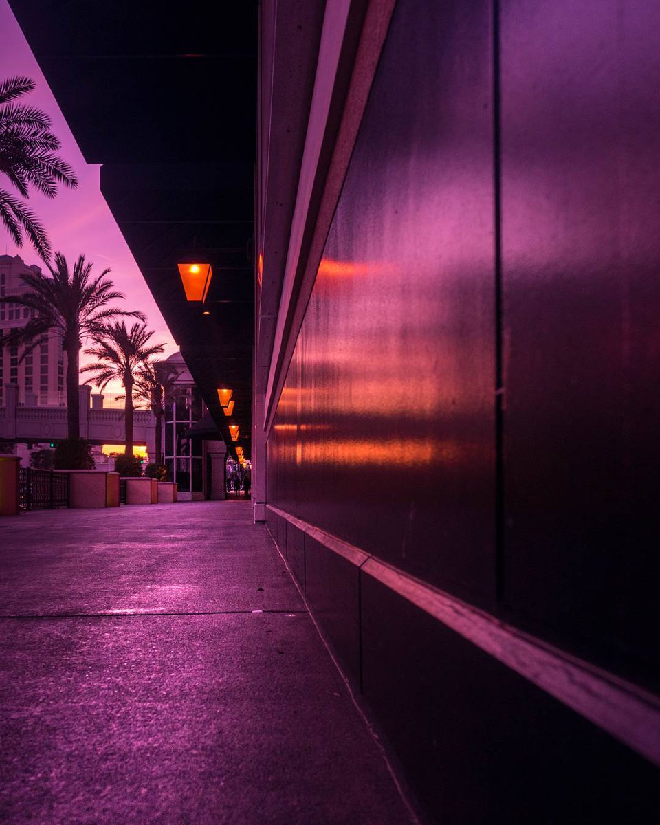 LasVegas_'s tweet photo. Las Vegas is the best place on earth!!! 💜💜💜
➡️https://t.co/Qd2NYfLdYZ https://t.co/uqQzBLrdOb
