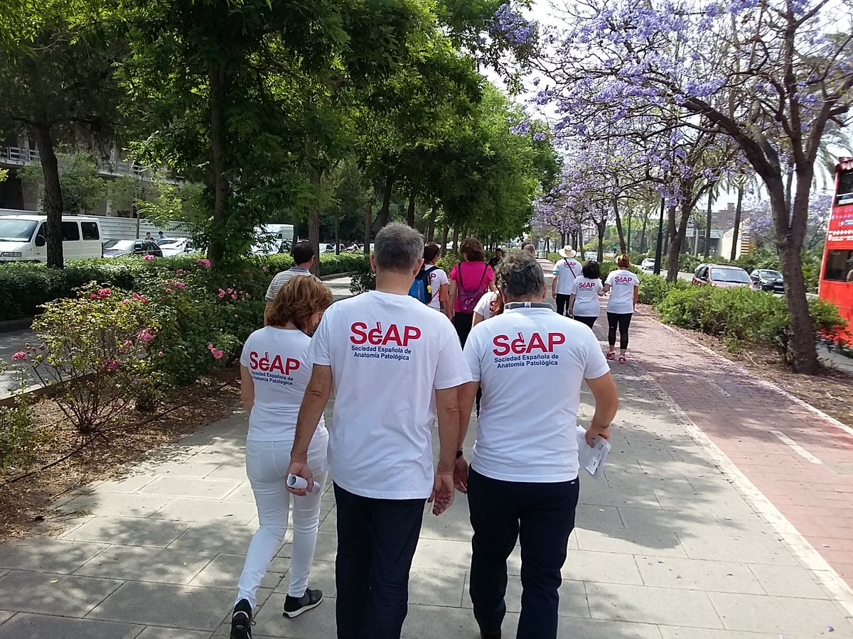 SEAP_IAP's tweet image. ¡Ya hemos salido! #SEAP2017V ¿#AnatomíaPatológica? ¿Diagnósticos de certeza? Estamos de 11:00 a 13:00 por el antiguo cauce del río Turia