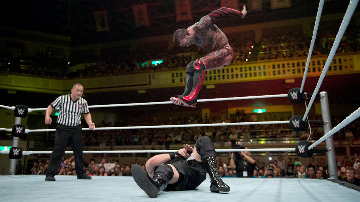 We take a look at the top 10 greatest toprope finishers! WWE UK