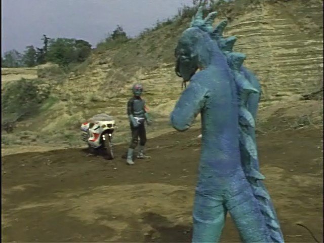 仮面ライダー 新1号 仮面ライダー図鑑 東映