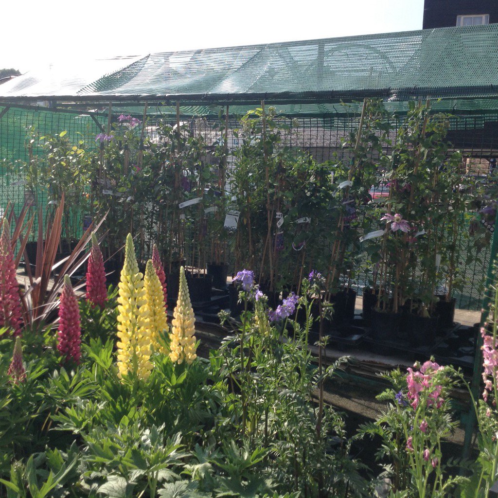 Open bank holiday Sunday&amp;Monday10-30-4.00