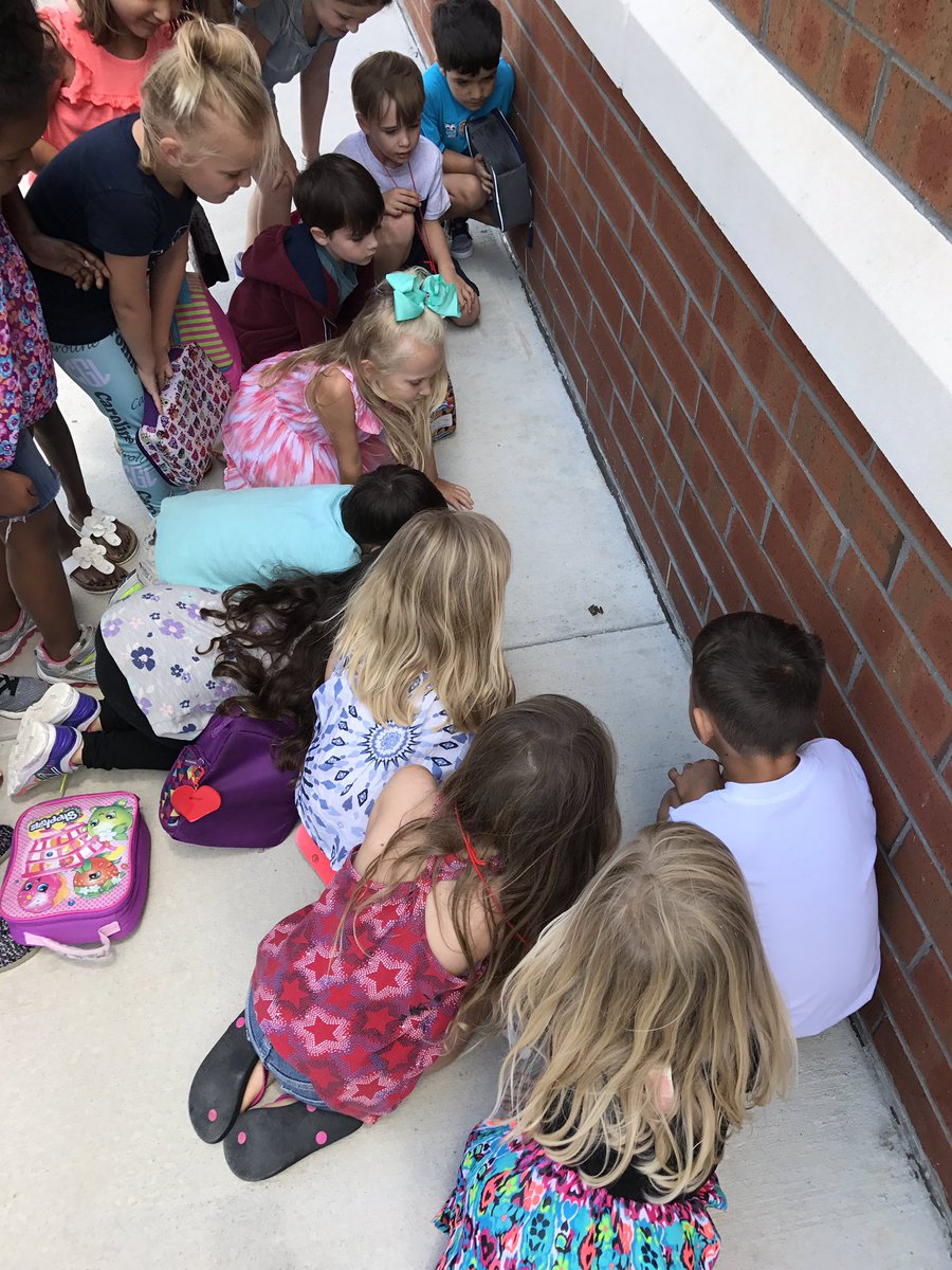 AECarter2's tweet photo. Teachable moment on the way back from lunch. ๐ธ #owlsome #integratingthatscience #poorfrog #curiouskinders @OakviewElem https://t.co/ft9ukJXYW8
