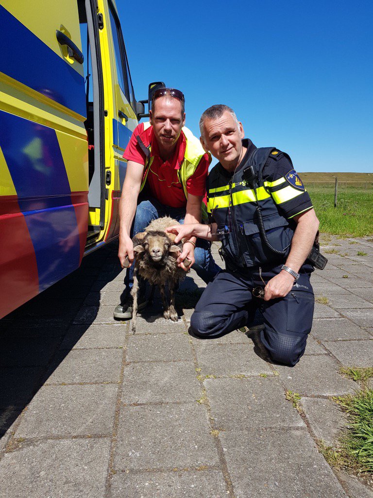 realDionGraus's tweet photo. #Dierenredders zijn #Dierenridders
#144RedeenDier
#Dierenpolitie https://t.co/ezRE0YaB72