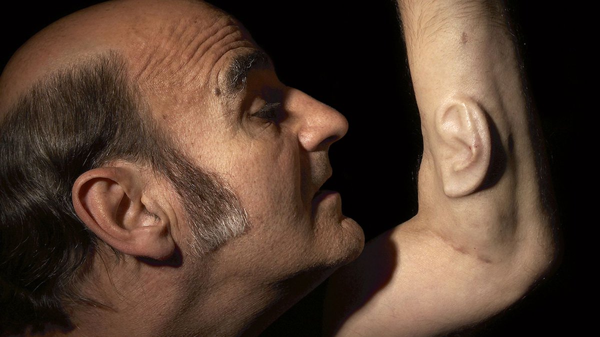 ArtSciMuseum's tweet photo. Meat, metal, and code. Enjoyed seeing @StelarcStelarc live at the museum today? You'll love this! https://t.co/Ip6aC4NNyG #asmhumanplus https://t.co/VIyvFLgbqY