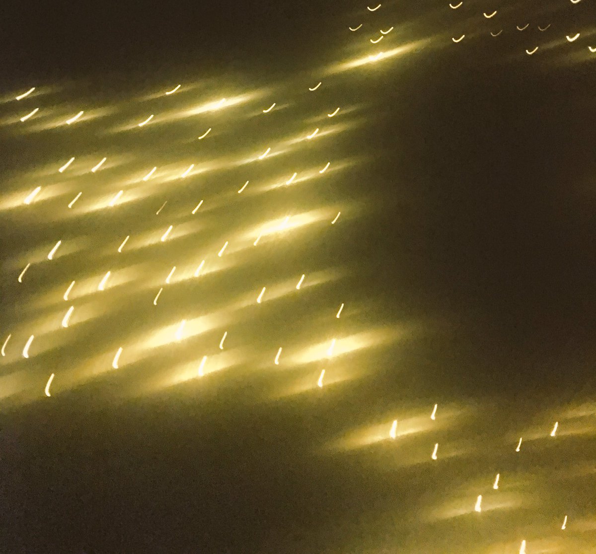 and I think it all turned gold