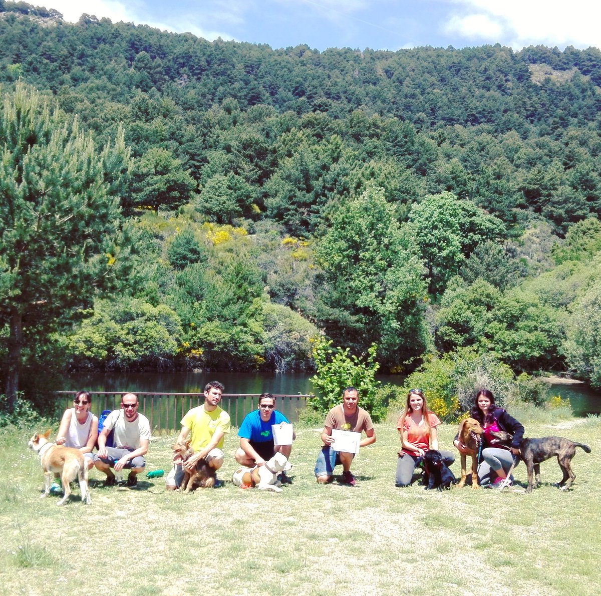 OKCanaimara's tweet photo. Gracias a tod@s por venir a la 4° edición del Cursito de #Cachorros ! #aprendecontuperro #adiestramientoenpositivo #sierradeguadarrama https://t.co/LHYfBbc20a