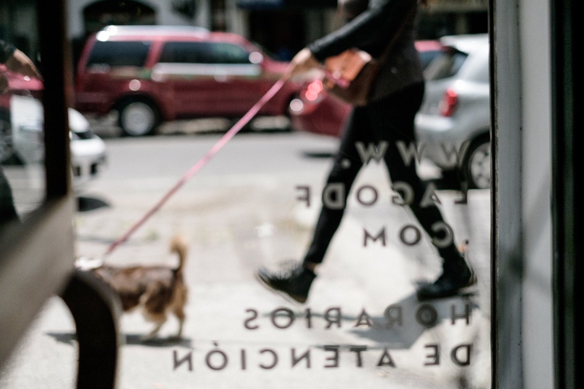 Nuestra tienda en @PolancoDFmx abre sábados 10am-7pm y domingos 10am-6pm. #diseñolatinoamericano #melatelatam