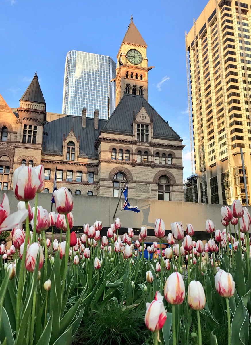 Megabby's tweet photo. #Toronto 🇨🇦 #share3DTO https://t.co/9TLSJdRIcY