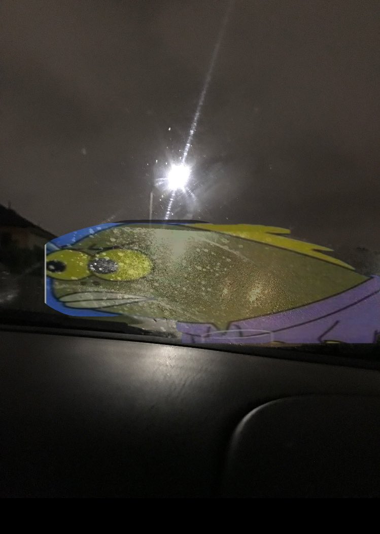 mamacitaa47's tweet photo. I was high and this looked like the fish from spongebob https://t.co/QRWdTEDmje