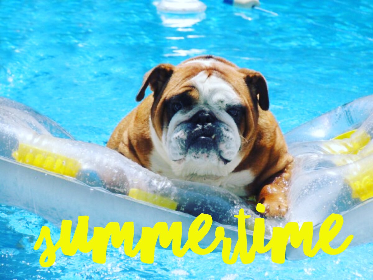 CTMSPTSA's tweet photo. Congratulations on another great year Bulldogs! We're so proud of you. Enjoy some down time and we'll see you back again in August! https://t.co/MliP27vn2k