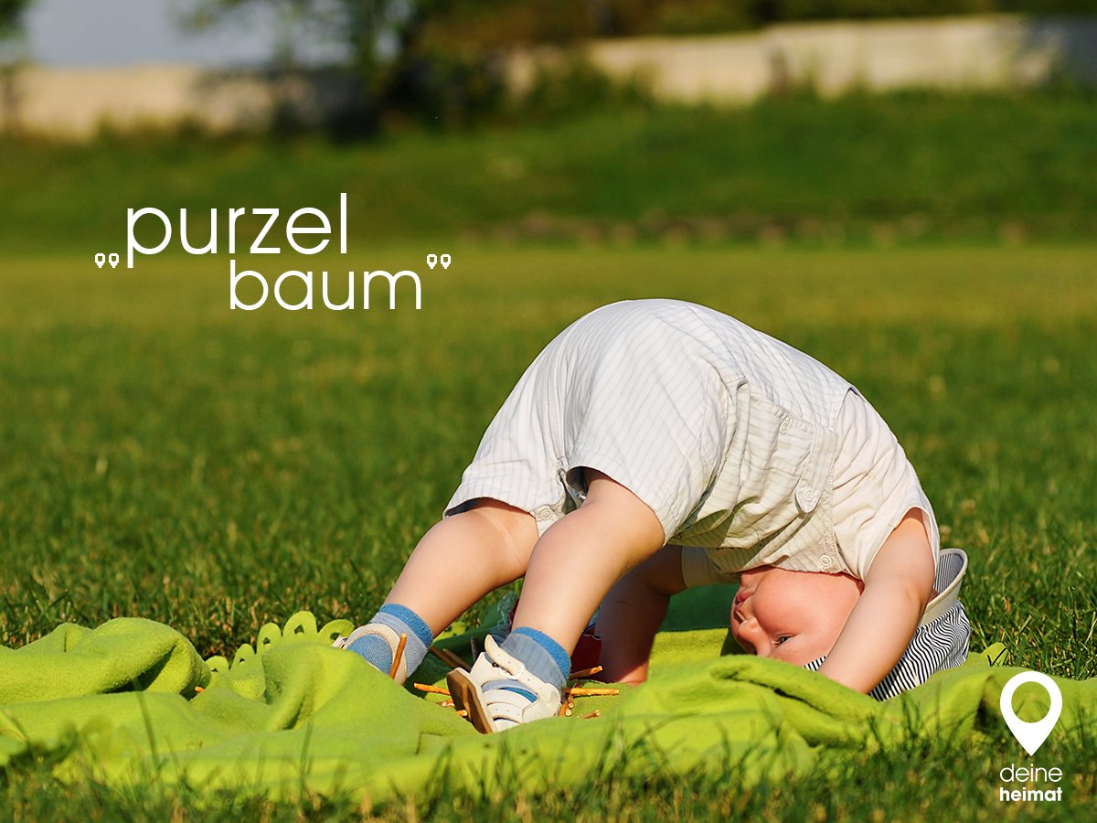 Bogschdiazl, Buazlbam oder herabschauender Hund? ;)

#deineheimat #purzelbaum #rollevorwärts #bairisch #dialekt #welttagdespurzlbaums