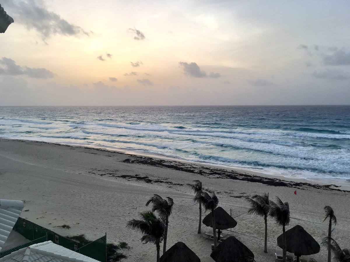 Miguel Vadillo tweet media