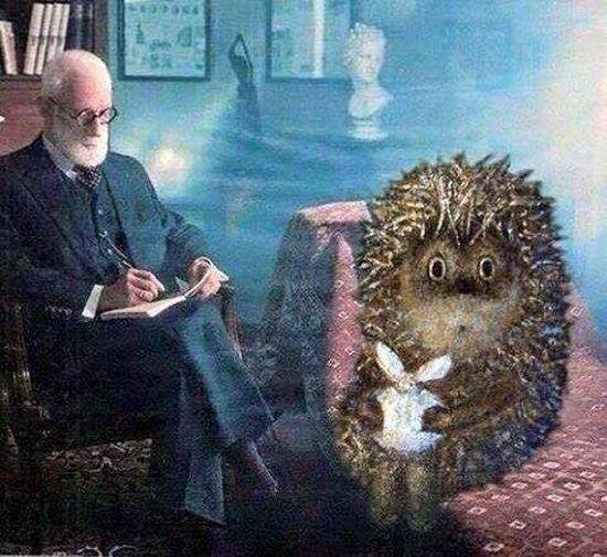 #ВзаимныйФолловинг #FollowBack #RuFollowBack #ЧитайМеняАяТебя #ЧитаюВзаимно #СДнемРожденияПитер #follow #rufollow #РусскийФолловинг
