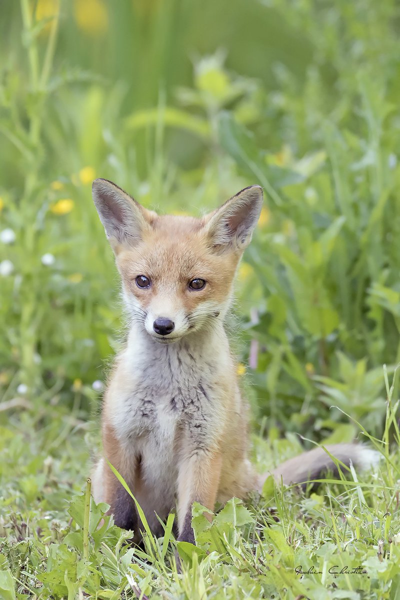 la vie est belle, regarder, observer et decider :-)