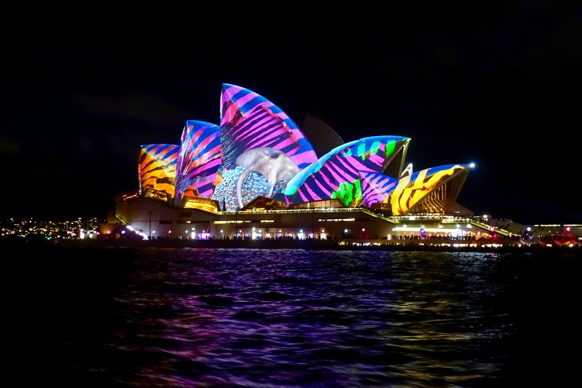 Riversteen's tweet photo. Audio Creatures (sea or land) crawl out of the Sails. Very special... #VividSydney #ilovesydney #sydney #vivid2017 https://t.co/AkuXugXFIO