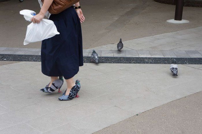 sobore's tweet photo. Japanese shoemaker Kyoto Ohata and her pigeon-themed shoes 😲 https://t.co/Du4lZ8xKvf