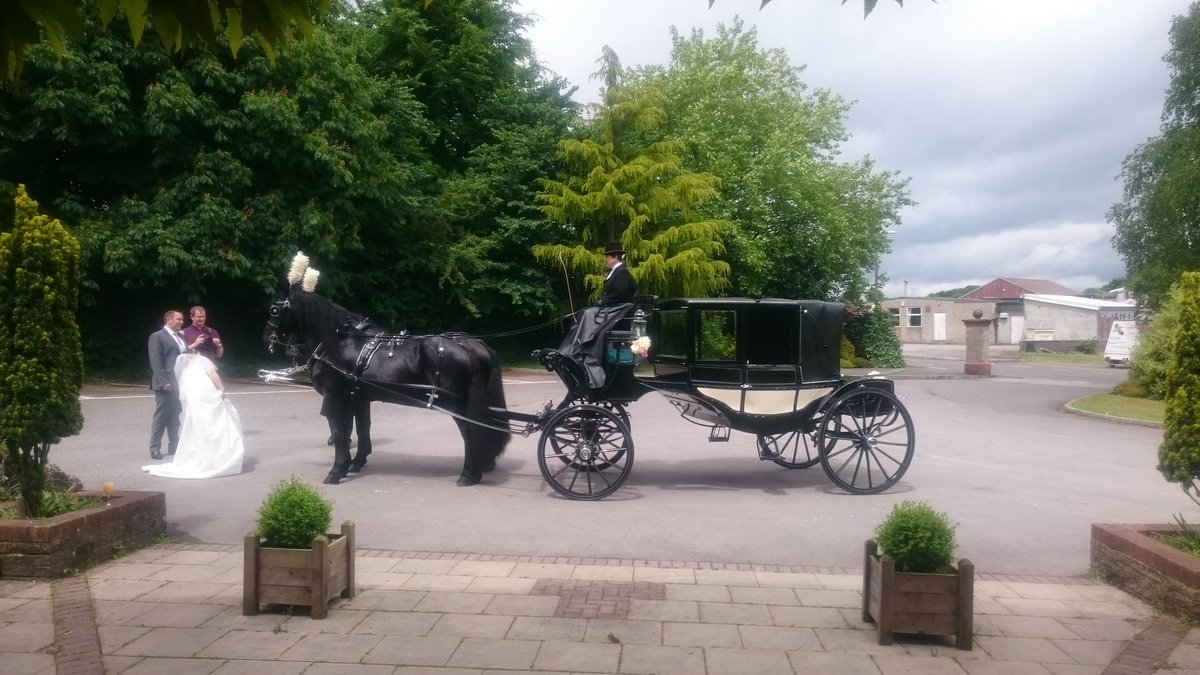 BW_Centurion's tweet photo. Today's bride and groom with Horse and carriage. #wedding #horseandcart https://t.co/v6fd36kfyO
