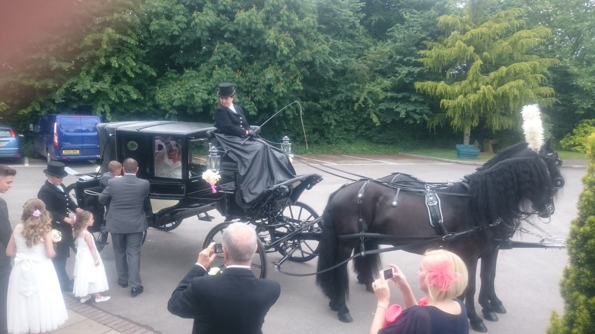 BW_Centurion's tweet photo. Today's bride and groom with Horse and carriage. #wedding #horseandcart https://t.co/v6fd36kfyO