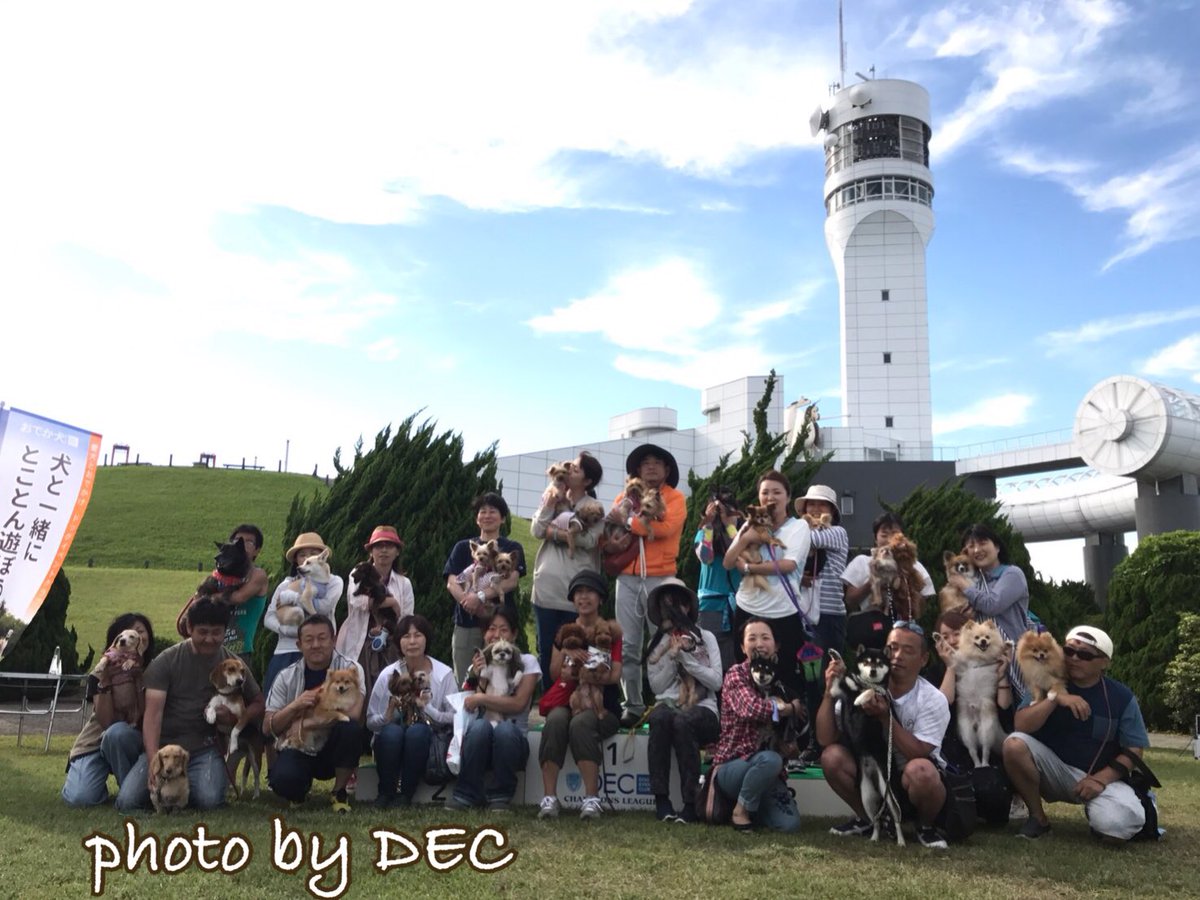 dogeventclub's tweet photo. #横浜港シンボルタワー にて #DECCL が開催されました‼️1日目の今日は合計54組62頭のワンちゃんにご参加いただけました🤣✨同時開催の #学わん祭 の方も沢山のお客様にご参加いただけました😊明日は #ウィペット #イタグレ 限定戦開催🎶🐾是非是非ご参加を😄 https://t.co/R4Q9qFub2B