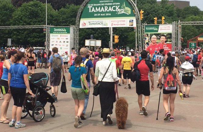 Road closures for Tamarack Ottawa Race Weekend #ottnews bit.ly/2qpPlRm https://t.co/wfbAi8b539